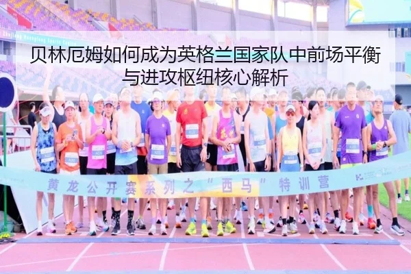 bei-lin-e-mu-ru-he-cheng-wei-ying-ge-lan-guo-jia-dui-zhong-qian-chang-ping-heng-yu-jin-gong-shu-niu-he-xin-jie-xi-2-240.jpg