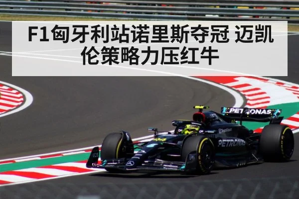 F1匈牙利站诺里斯夺冠 迈凯伦策略力压红牛