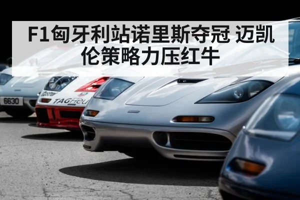 McLaren F1 celebration