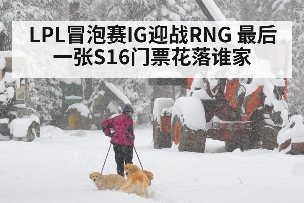 LPL冒泡赛IG迎战RNG 最后一张S16门票花落谁家